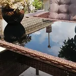 Dream Beloc House Island