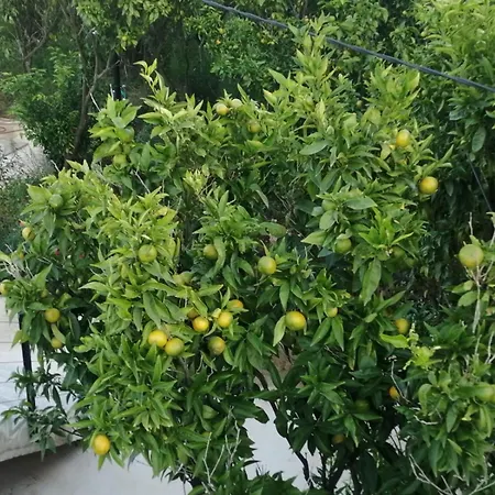 Dream Beloc House Island