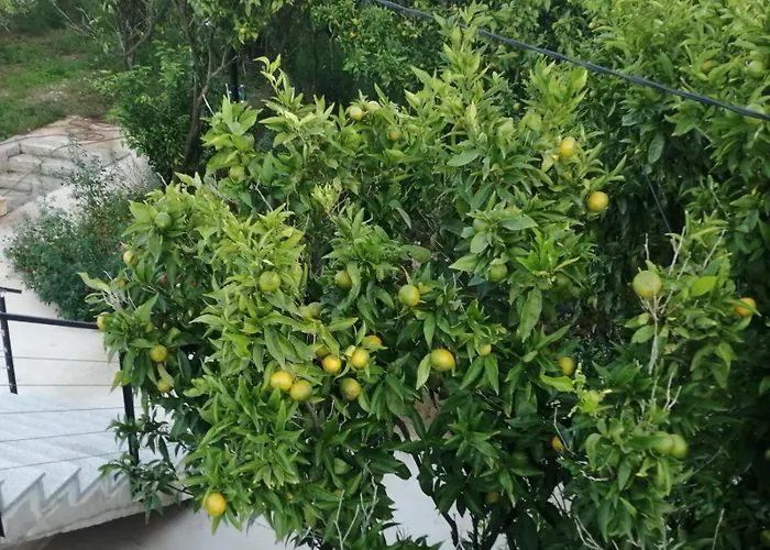 Dream Beloc House Island