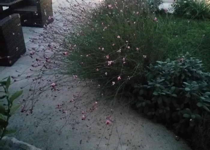 Dream Beloc House Island Apartament *